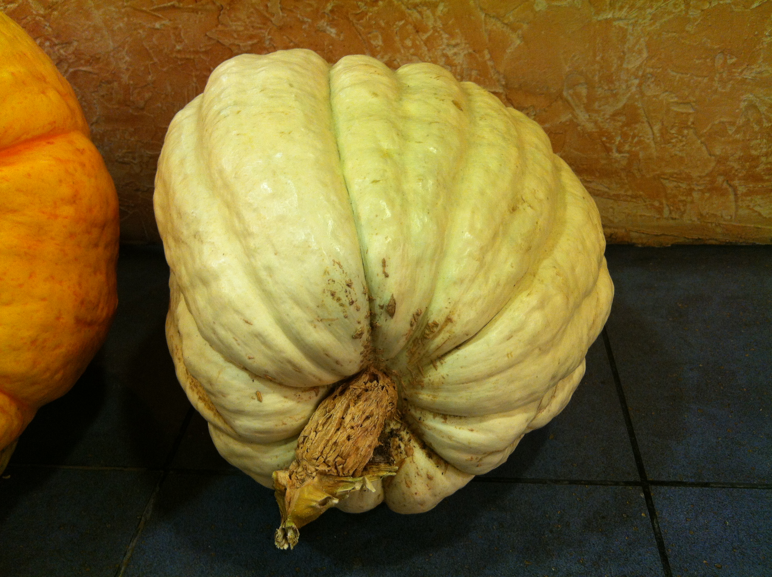 Calabaza