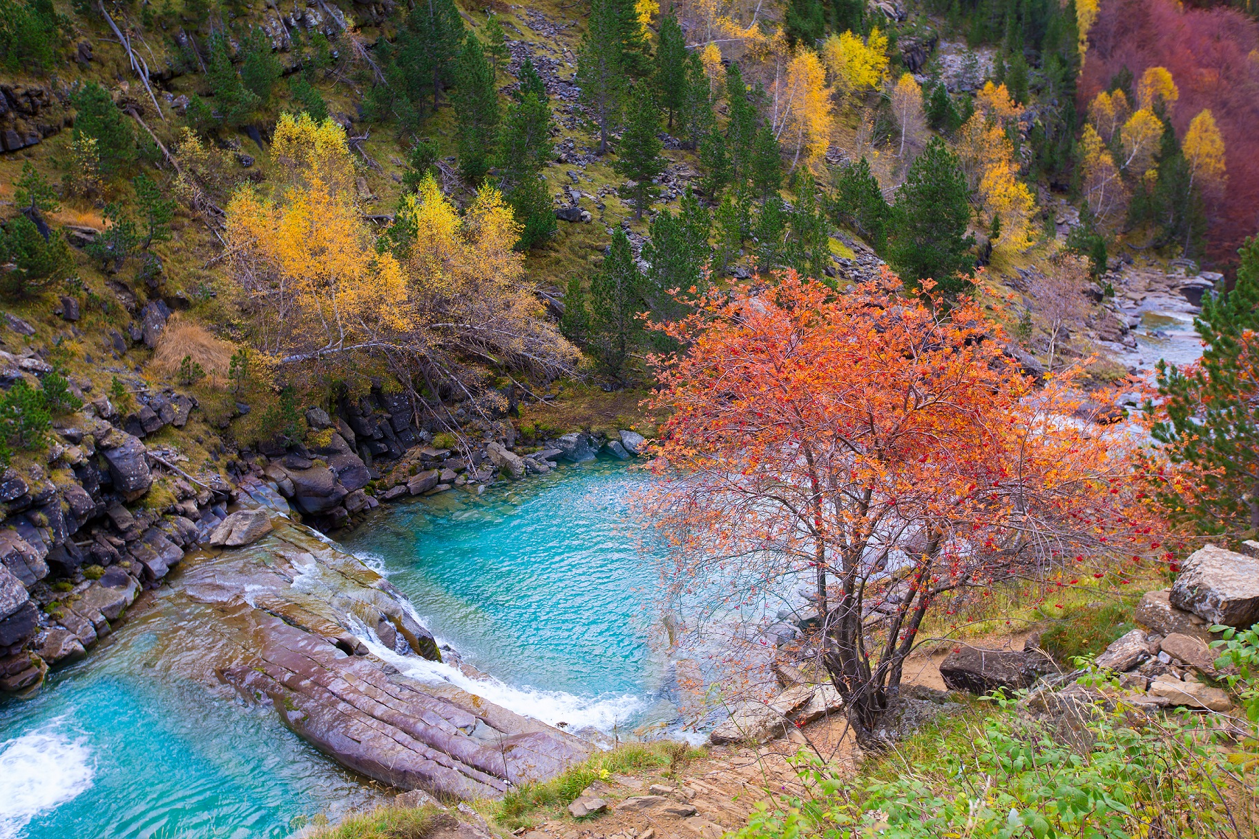 Parque Nacional de Ordesa y Monte Perdido (Huesca) - Pirineo Aragonés