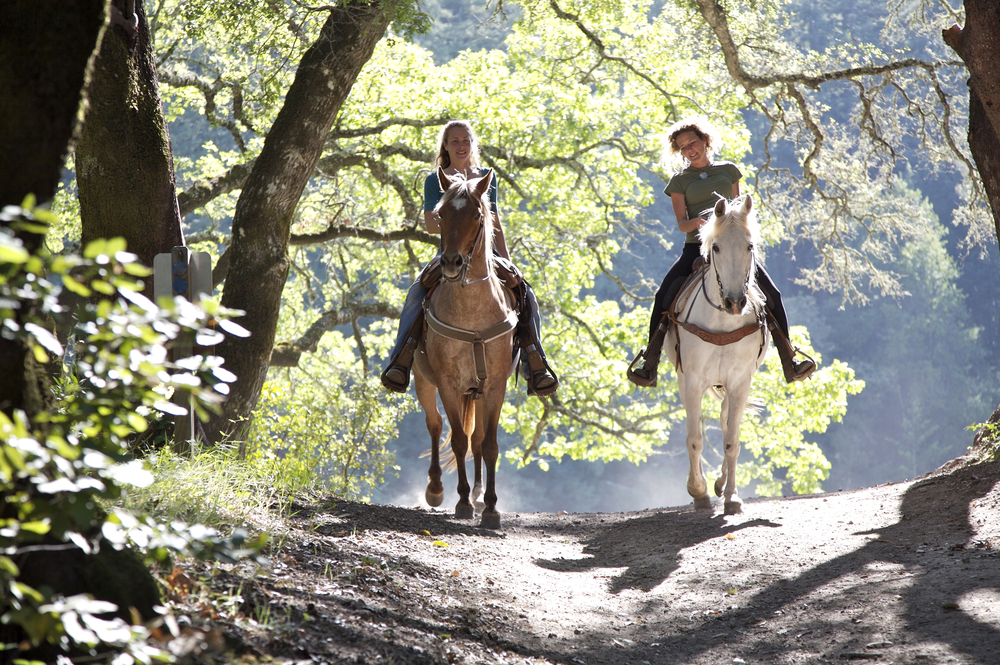 Paseos a Caballo - Campo (Huesca) - Pirineo Aragonés