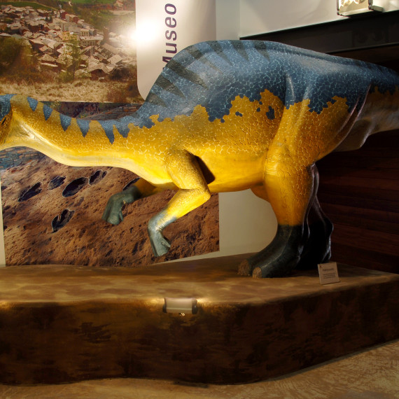 Museo de Los Dinosaurios - Aren (Huesca)